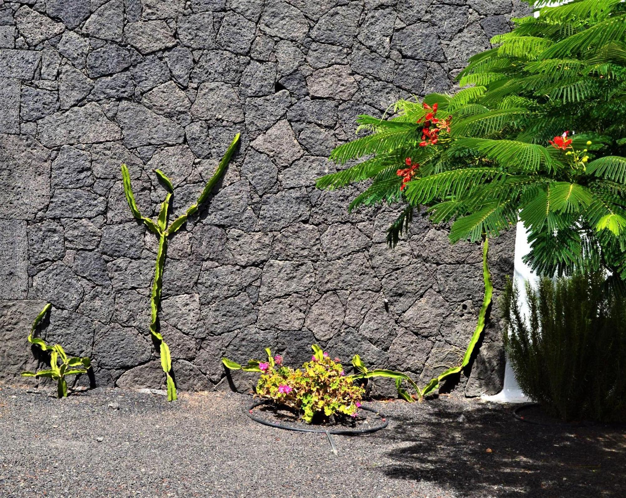 Gran Villa Famara Puerto del Carmen Puerto del Carmen (Lanzarote) Exterior foto